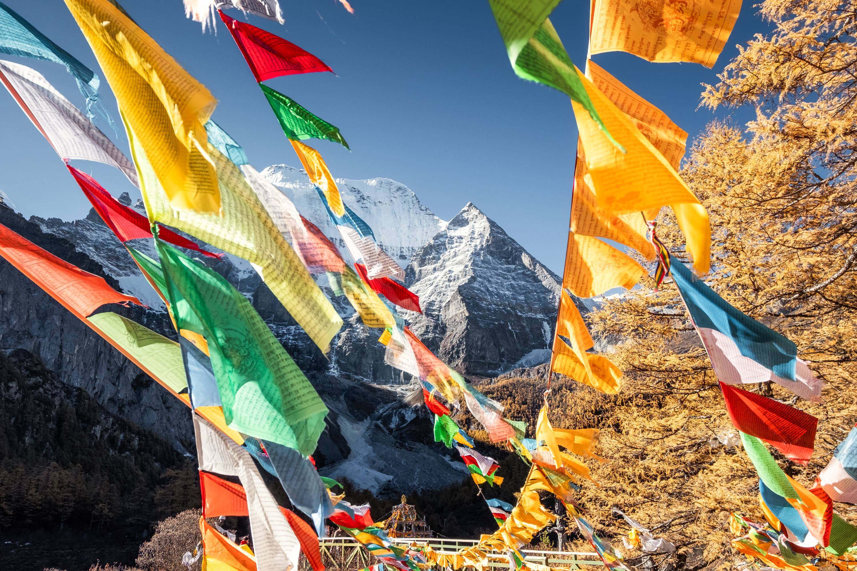 8 Of The Top Things To Do In Laid-Back Tibet,China2 2